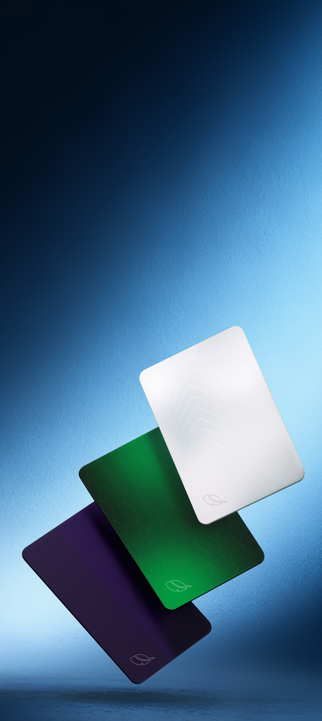 MP Card